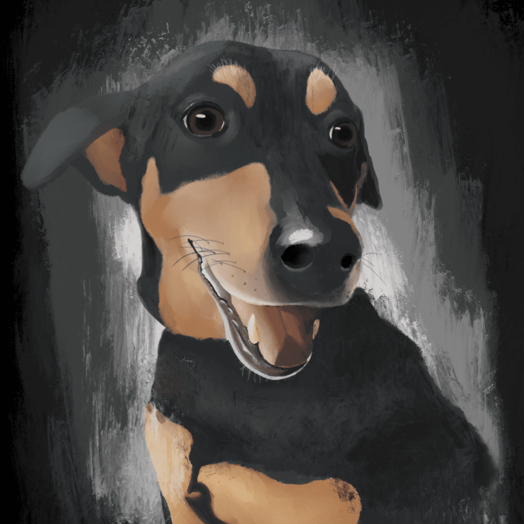 Dog portrait